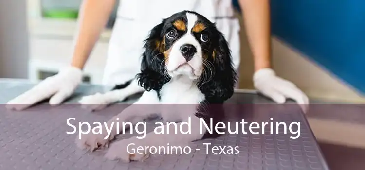 Spaying and Neutering Geronimo - Texas