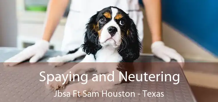 Spaying and Neutering Jbsa Ft Sam Houston - Texas