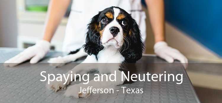 Spaying and Neutering Jefferson - Texas