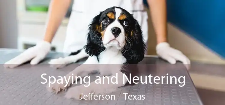 Spaying and Neutering Jefferson - Texas