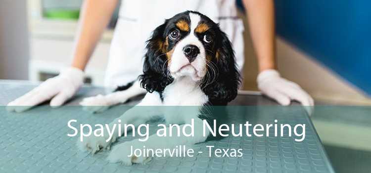Spaying and Neutering Joinerville - Texas