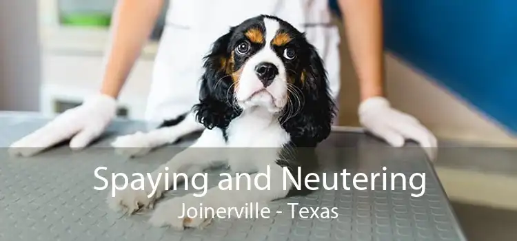 Spaying and Neutering Joinerville - Texas