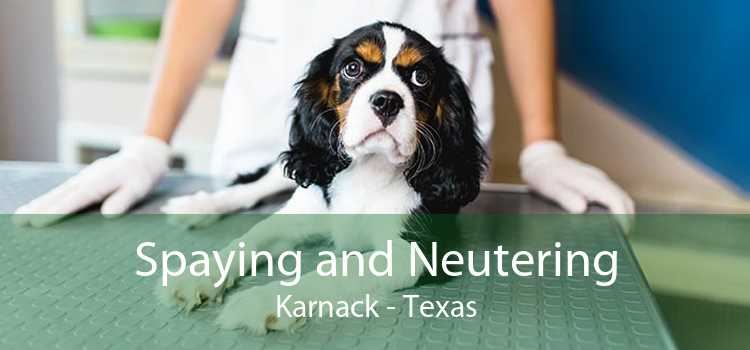 Spaying and Neutering Karnack - Texas