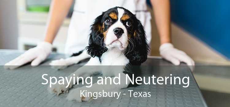 Spaying and Neutering Kingsbury - Texas