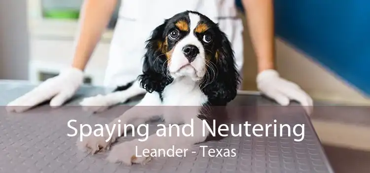 Spaying and Neutering Leander - Texas