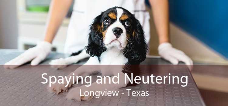 Spaying and Neutering Longview - Texas