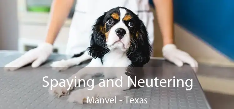 Spaying and Neutering Manvel - Texas