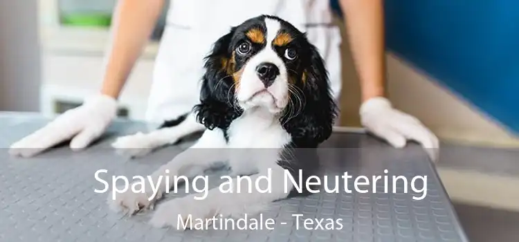 Spaying and Neutering Martindale - Texas