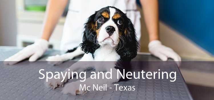 Spaying and Neutering Mc Neil - Texas
