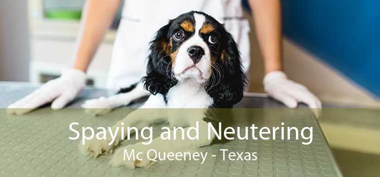 Spaying and Neutering Mc Queeney - Texas