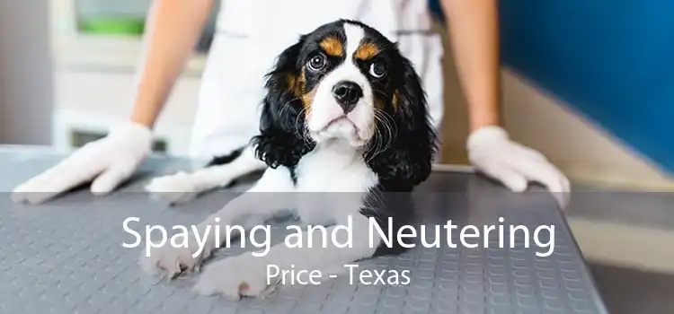 Spaying and Neutering Price - Texas