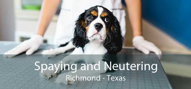 Spaying and Neutering Richmond - Texas