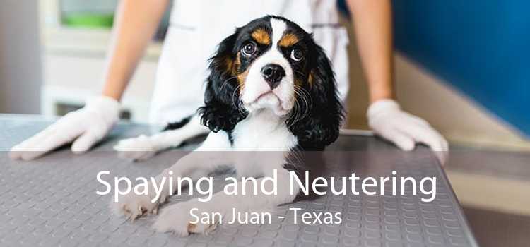 Spaying and Neutering San Juan - Texas