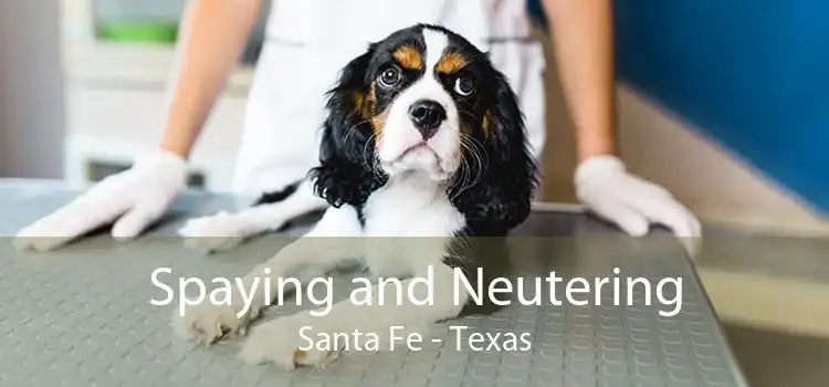 Spaying and Neutering Santa Fe - Texas