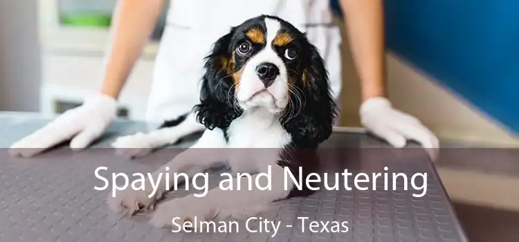 Spaying and Neutering Selman City - Texas