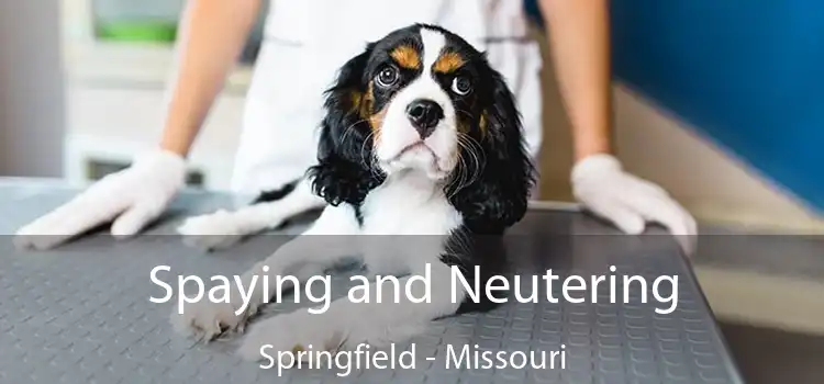 Spaying and Neutering Springfield - Missouri