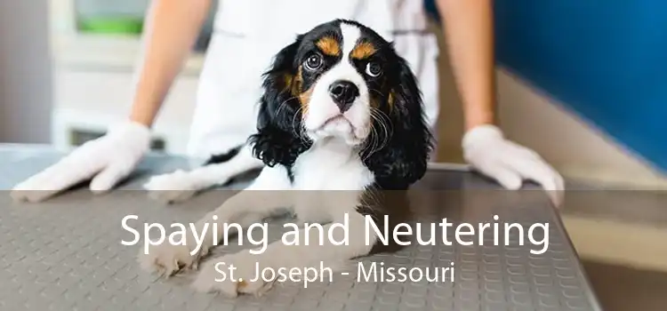 Spaying and Neutering St. Joseph - Missouri