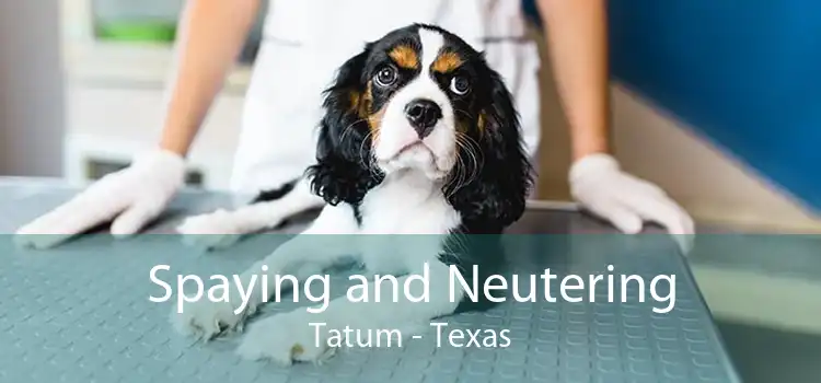 Spaying and Neutering Tatum - Texas