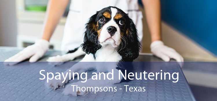 Spaying and Neutering Thompsons - Texas