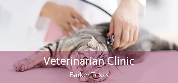 Veterinarian Clinic Barker Texas