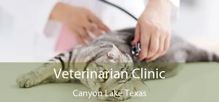 Veterinarian Clinic Canyon Lake Texas