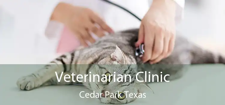 Veterinarian Clinic Cedar Park Texas