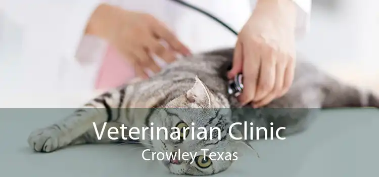 Veterinarian Clinic Crowley Texas