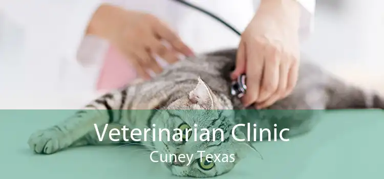 Veterinarian Clinic Cuney Texas