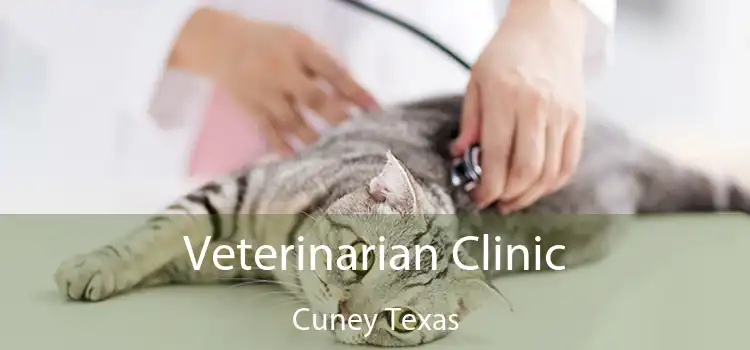 Veterinarian Clinic Cuney Texas