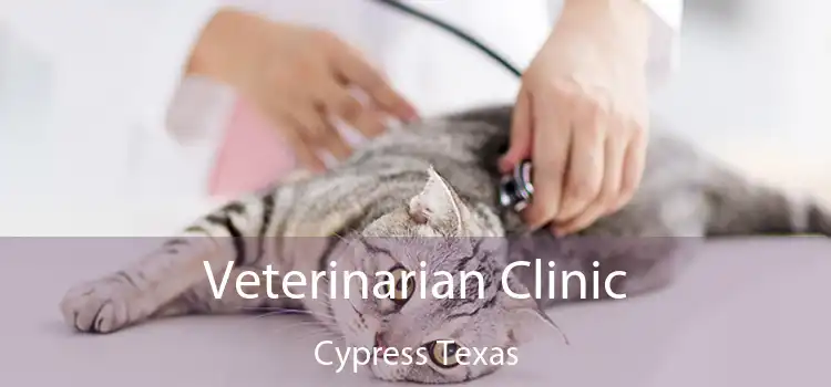 Veterinarian Clinic Cypress Texas