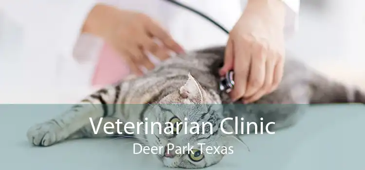 Veterinarian Clinic Deer Park Texas