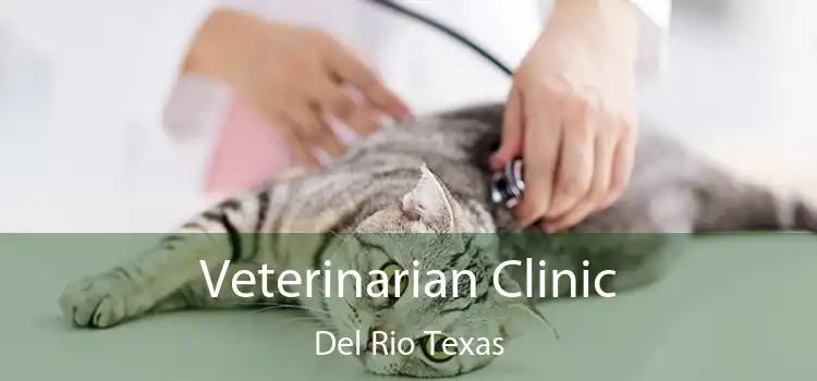 Veterinarian Clinic Del Rio Texas