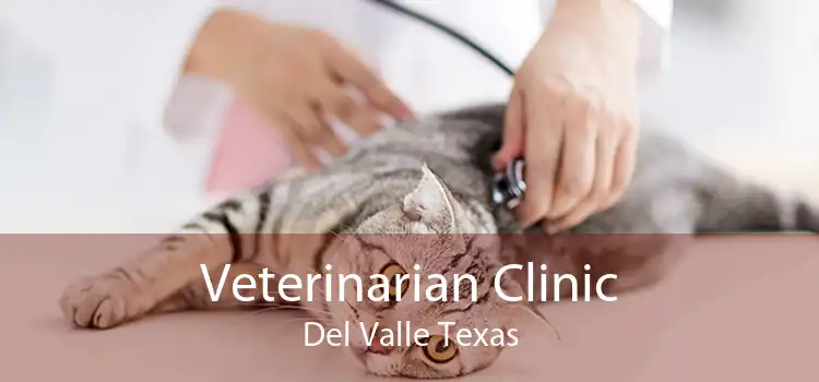 Veterinarian Clinic Del Valle Texas