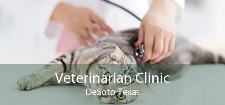 Veterinarian Clinic DeSoto Texas