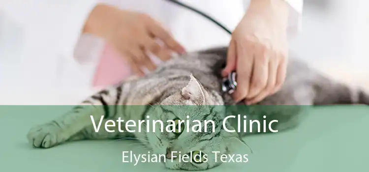 Veterinarian Clinic Elysian Fields Texas