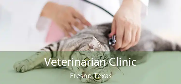 Veterinarian Clinic Fresno Texas