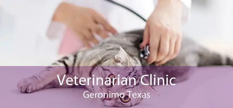 Veterinarian Clinic Geronimo Texas