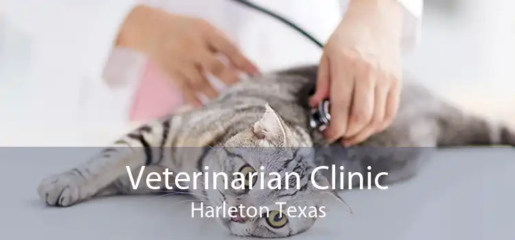 Veterinarian Clinic Harleton Texas