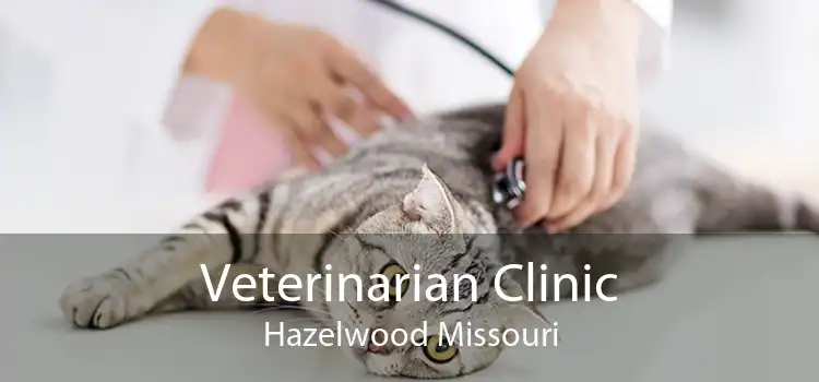 Veterinarian Clinic Hazelwood Missouri