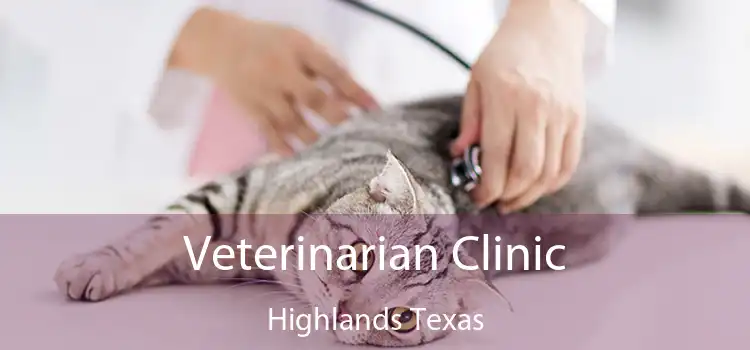 Veterinarian Clinic Highlands Texas