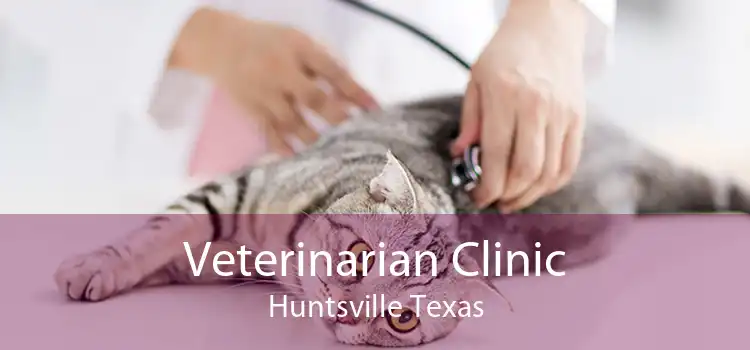 Veterinarian Clinic Huntsville Texas