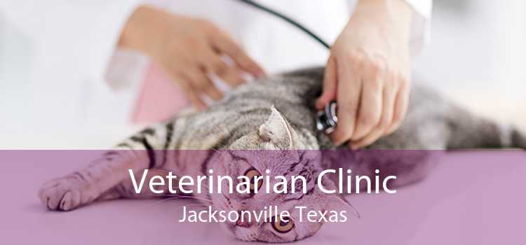 Veterinarian Clinic Jacksonville Texas