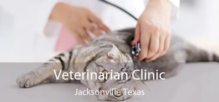 Veterinarian Clinic Jacksonville Texas