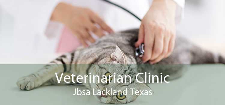 Veterinarian Clinic Jbsa Lackland Texas