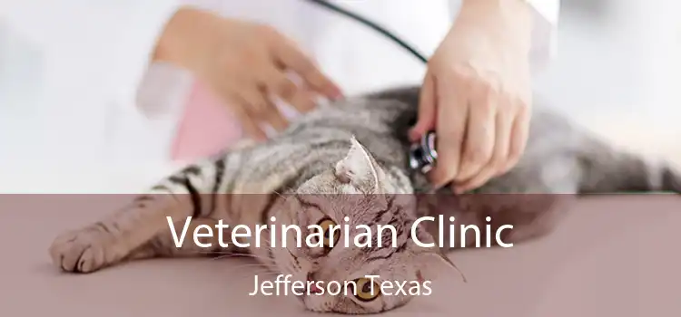 Veterinarian Clinic Jefferson Texas