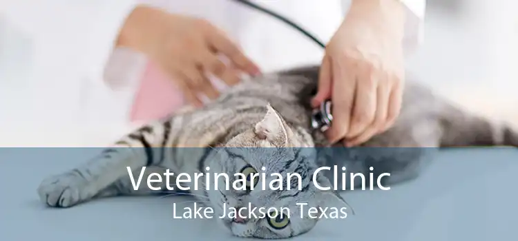Veterinarian Clinic Lake Jackson Texas