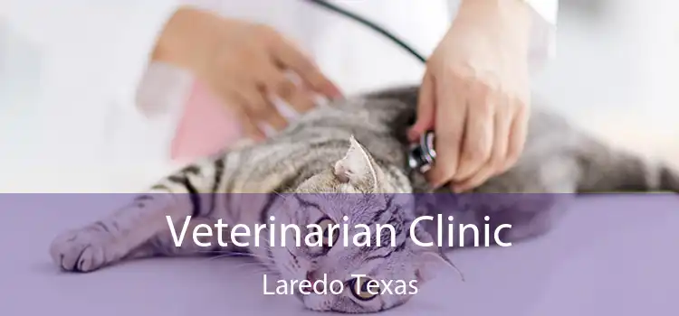 Veterinarian Clinic Laredo Texas