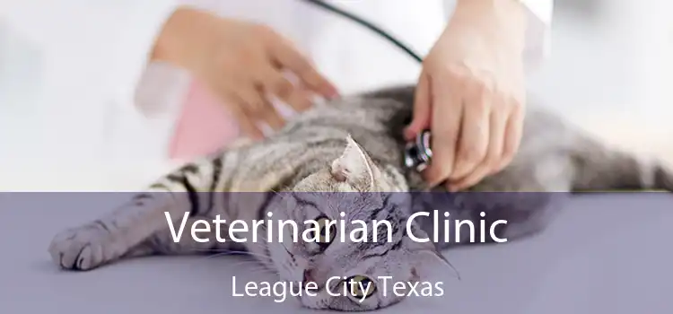 Veterinarian Clinic League City Texas