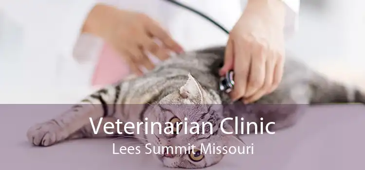 Veterinarian Clinic Lees Summit Missouri