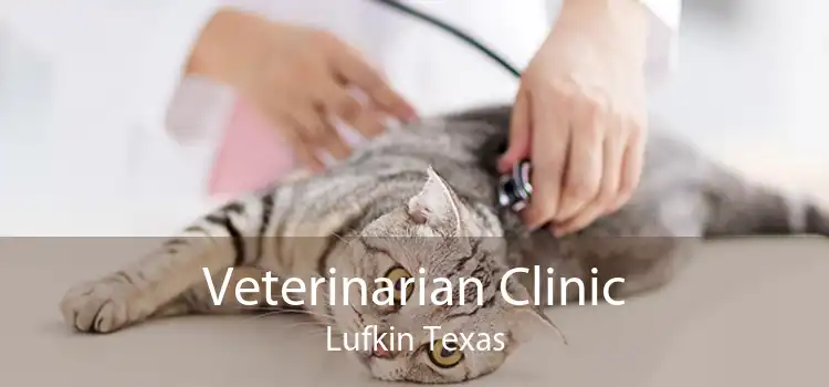 Veterinarian Clinic Lufkin Texas
